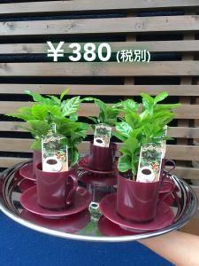 COFFEE brake｜「フローリスト　カネコ」　（新潟県五泉市の花キューピット加盟店 花屋）のブログ